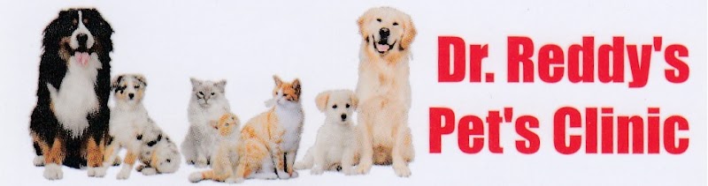 Dr. Reddy’s Pet’s Clinic