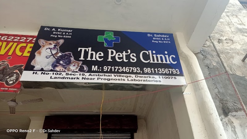 The Pets clinic