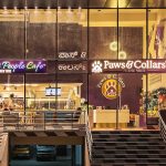 Hallmark Veterinary Pet Clinic By PawsnCollars