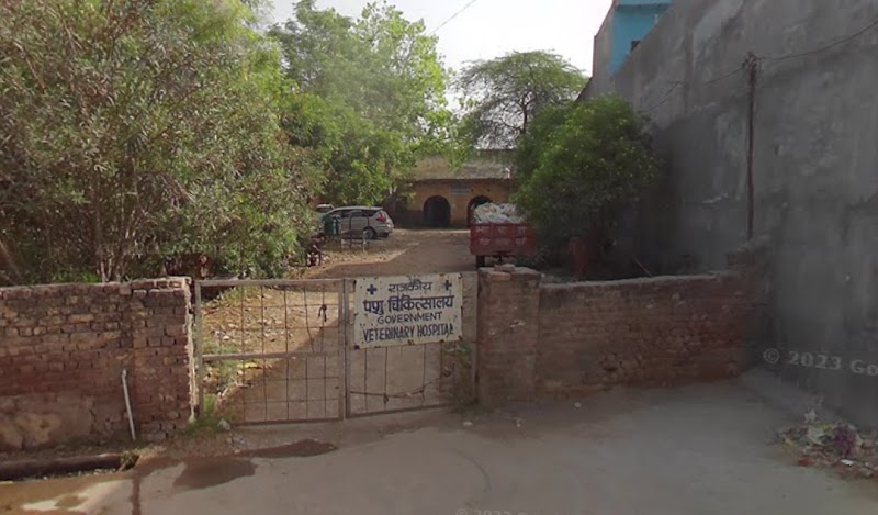 Govt Veterinary Hospital | सरकारी पशु चिकित्सा अस्पताल