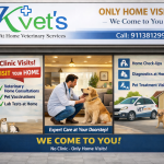 Kvets – At Home Veterinary Services | Veterinary Doctor | Doorstep veterinary | Vets | On Call