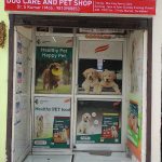 Dog Care & Pet Shop