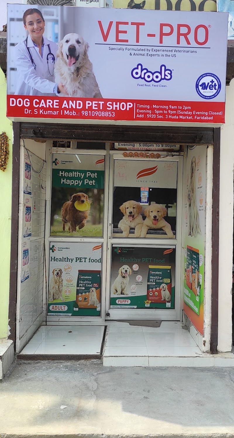 Dog Care & Pet Shop