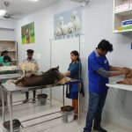 SWASTHYA PET CLINIC