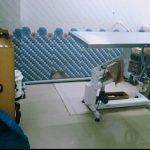 Petbliss Veterinary clinic