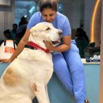 Dr Rina Dev’s Animal & Bird Clinic