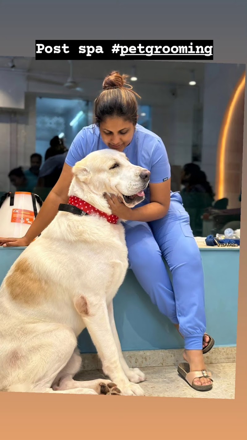 Dr Rina Dev’s Animal & Bird Clinic