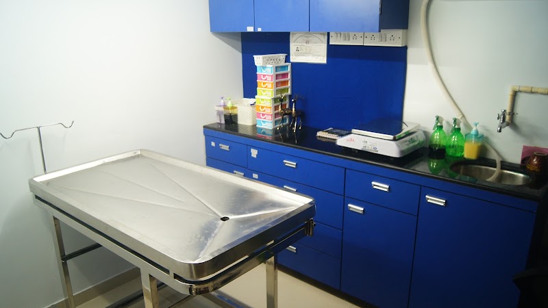 Animaux Clinique | Animal Hospital in Thane