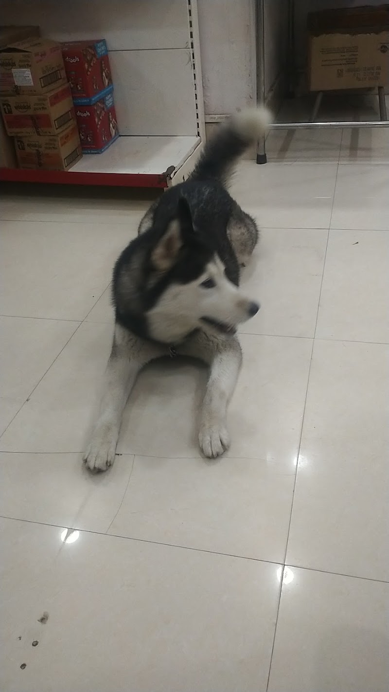 Paw’s & tail’s vet clinic