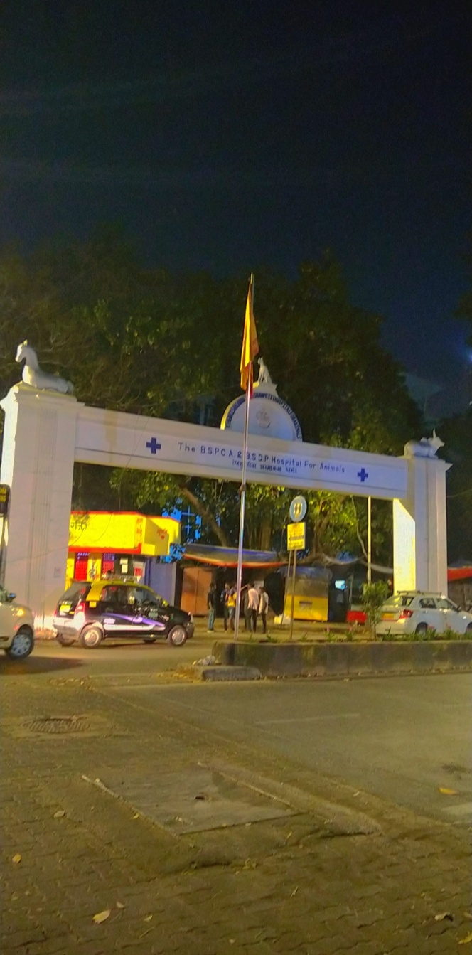 Animal Hospital Sukhana
