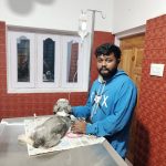 Haarshithaa pets clinic