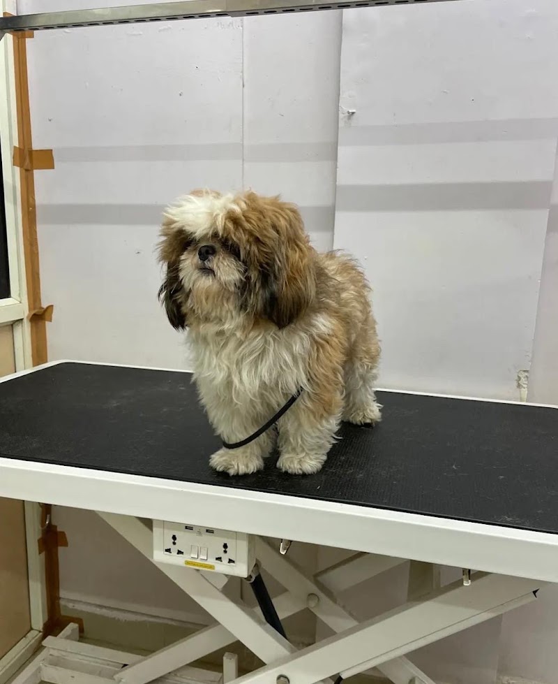 PetLifeline Hospital and Grooming center