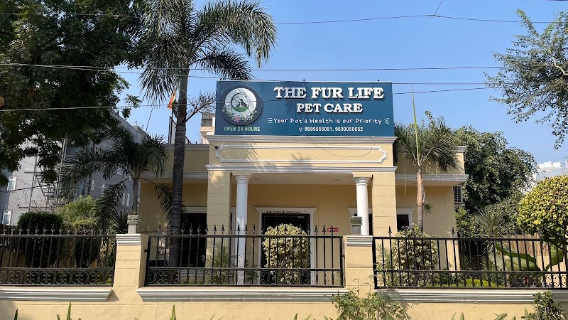 The Fur Life Pet Care