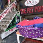 The Pet Point