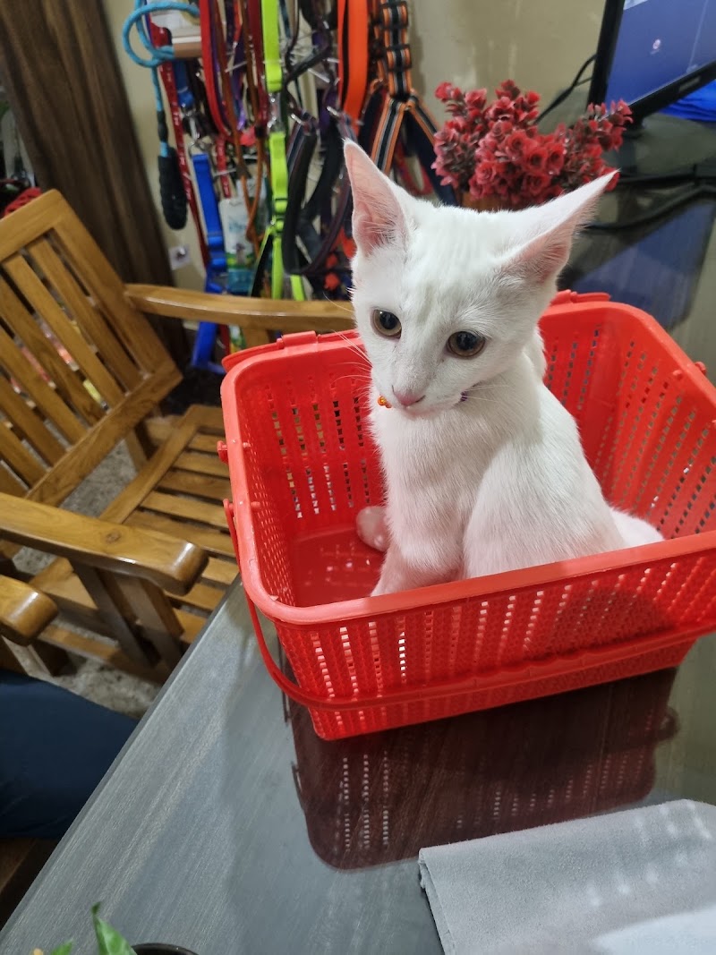 Vet’s Best Pet Clinic Dr. Lokkit