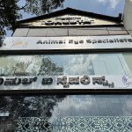 The Eye Vet