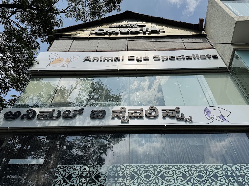 The Eye Vet