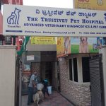 The TrustiVet Pet Hospital