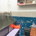 Hearty Paws, Pet Spa & Clinic