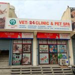 VET-24 CLINIC & PET SPA