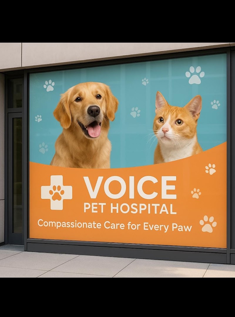 VOICE Pet Hospital, HBR layout