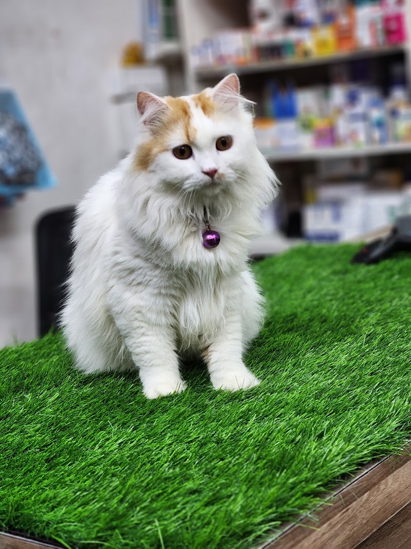Snoopy’s Pet clinic, store and spa