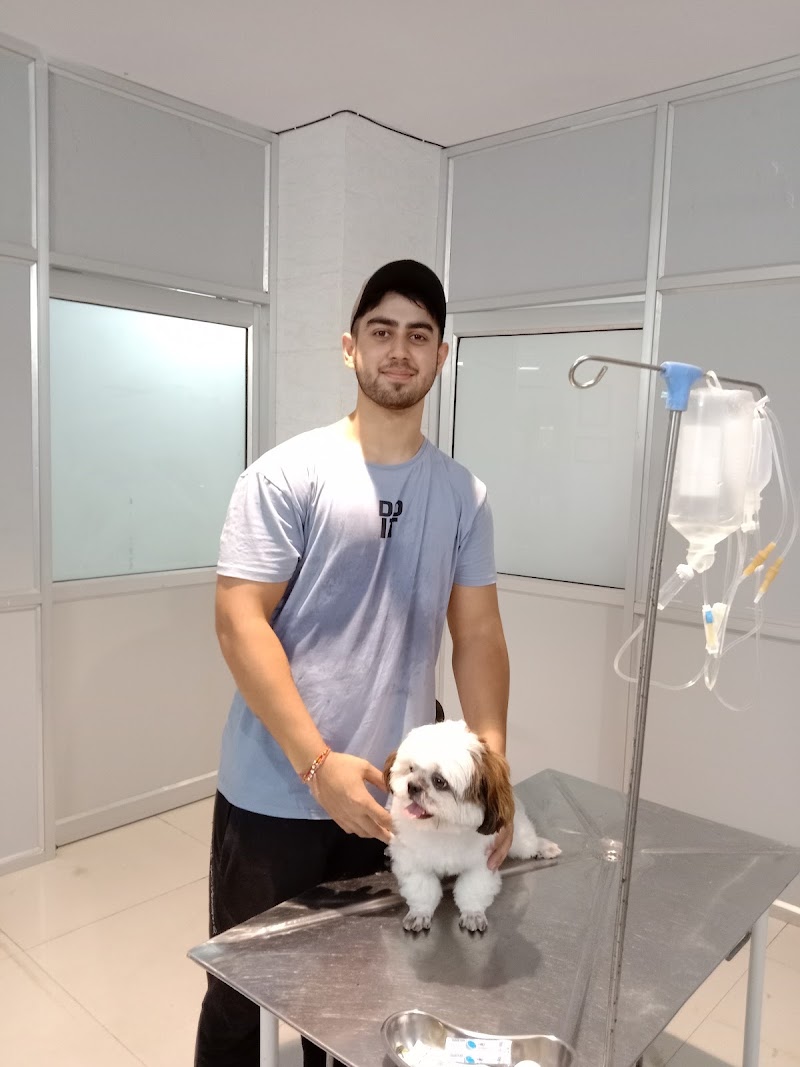 Dr. Poonia pet centre .