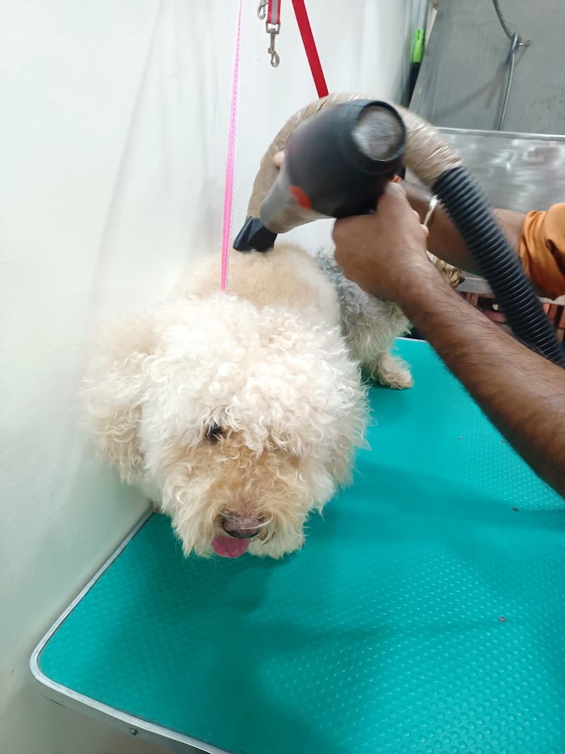 Vet Care +