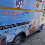 Magicvets Pet Clinic and Grooming Centre