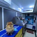 Planet Animal Hospital