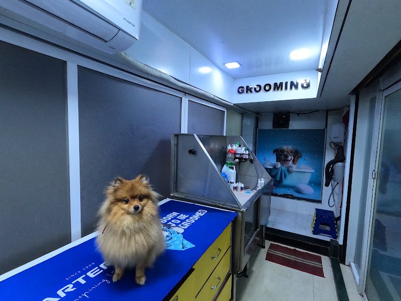 Planet Animal Hospital