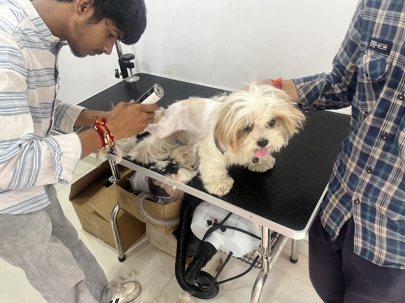 The Fur Life Pet Care