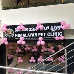Himalayan Pet Clinic HSR Layout ✅