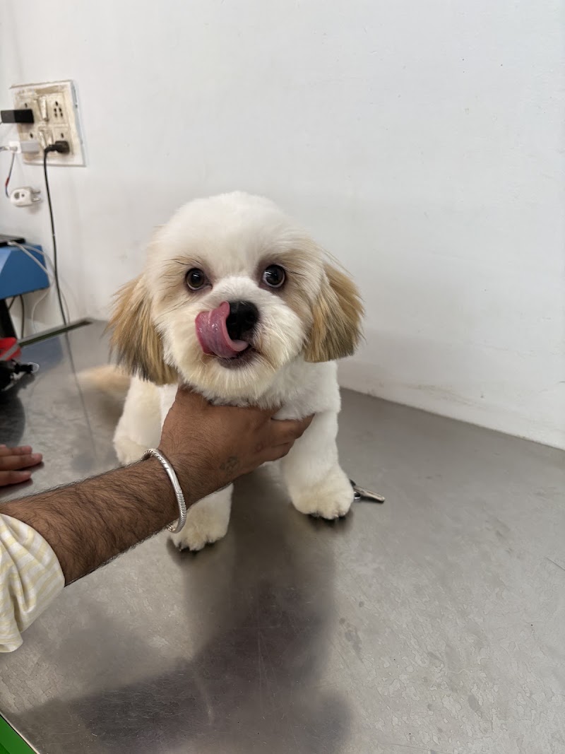 VET HELP Grooming And Clinic