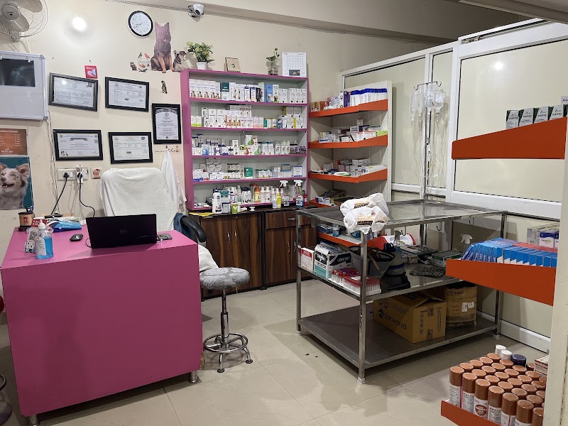 ABS PET CARE