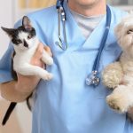 VetCare Pet Clinic