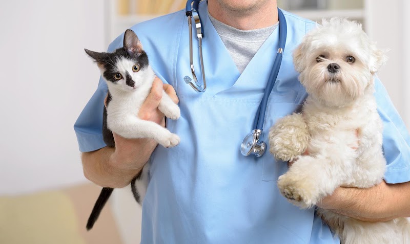 VetCare Pet Clinic