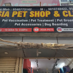 Asia Pet Shop & Clinic – puppies for sale