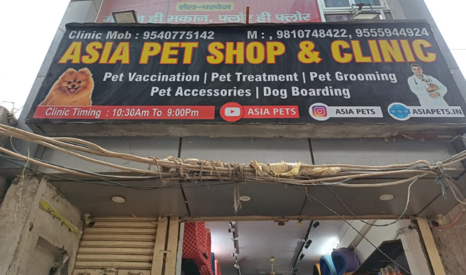 Asia Pet Shop & Clinic – puppies for sale