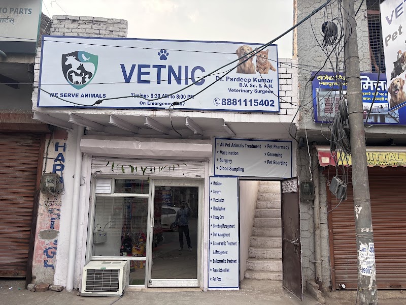 Vetnic Pet Clinic