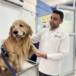 PRECISE PET CLINIC