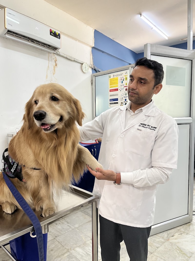 PRECISE PET CLINIC