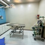Dynamic Pet Clinic