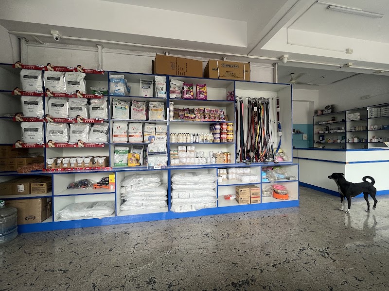 Cancure Pet Hospital Kacharakanahalli