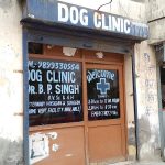 Dog clinic