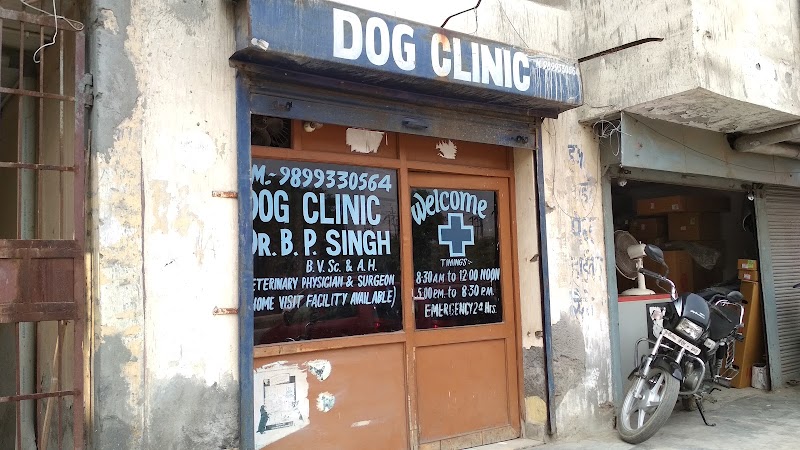 Dog clinic