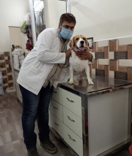Pet Care Clinic (Paschim Vihar)