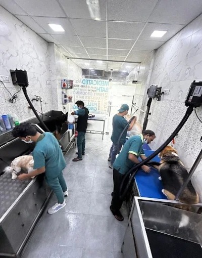 Pet Cure & Care Clinic
