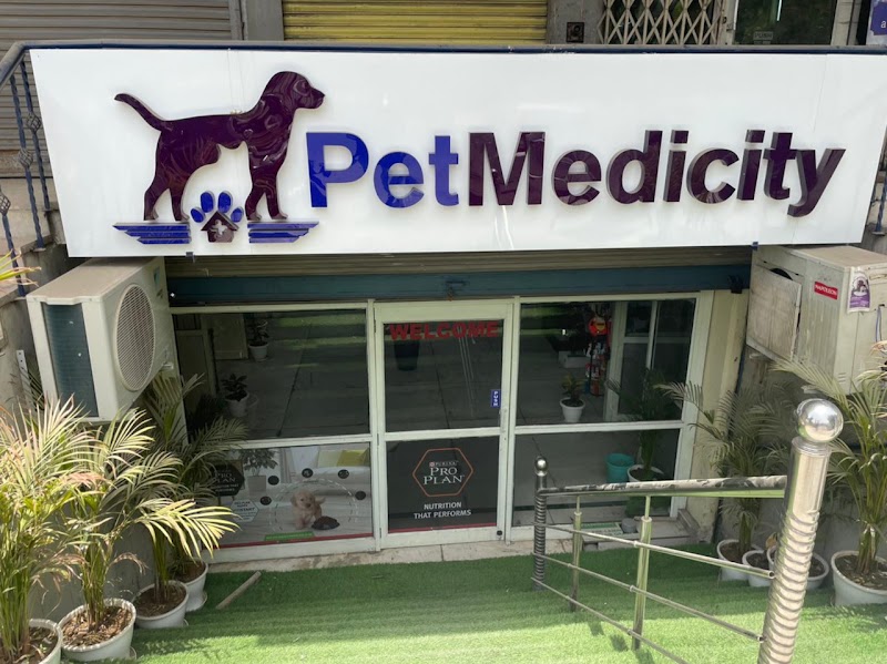Pet Medicity