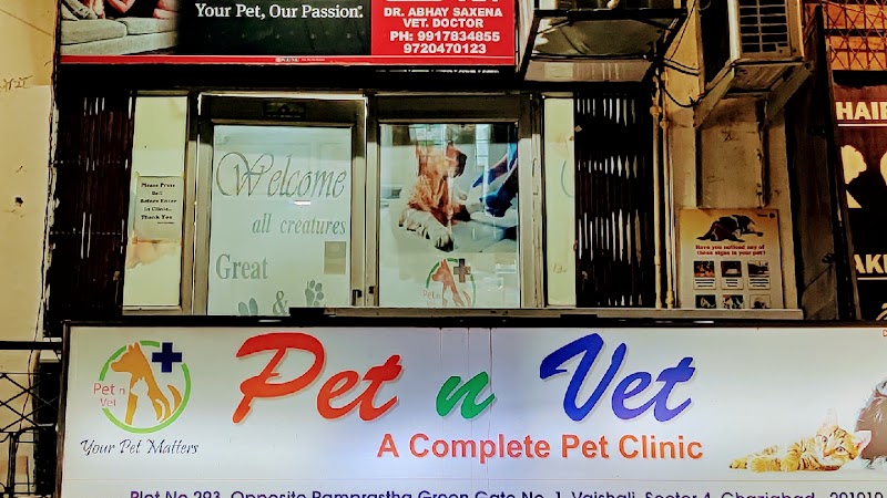 Pet N Vet Clinic